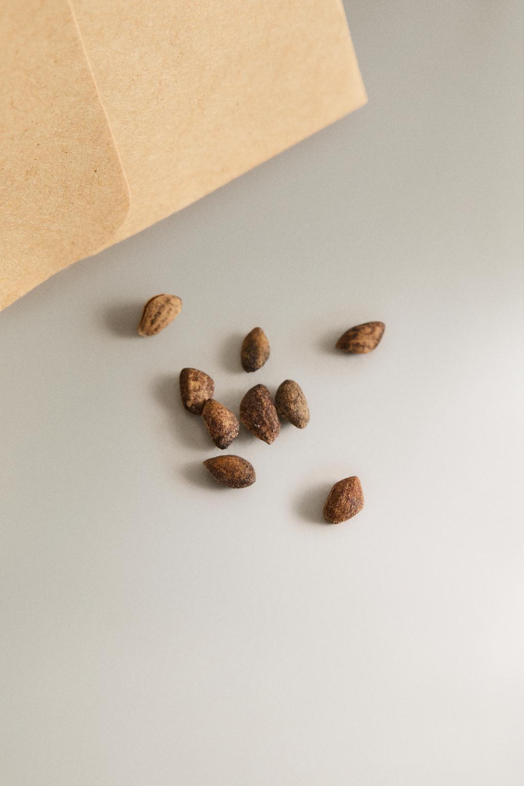 Набор для выращивания семян ели