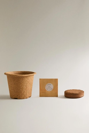 Набор для посадки семян жакаранды- Заказать в России