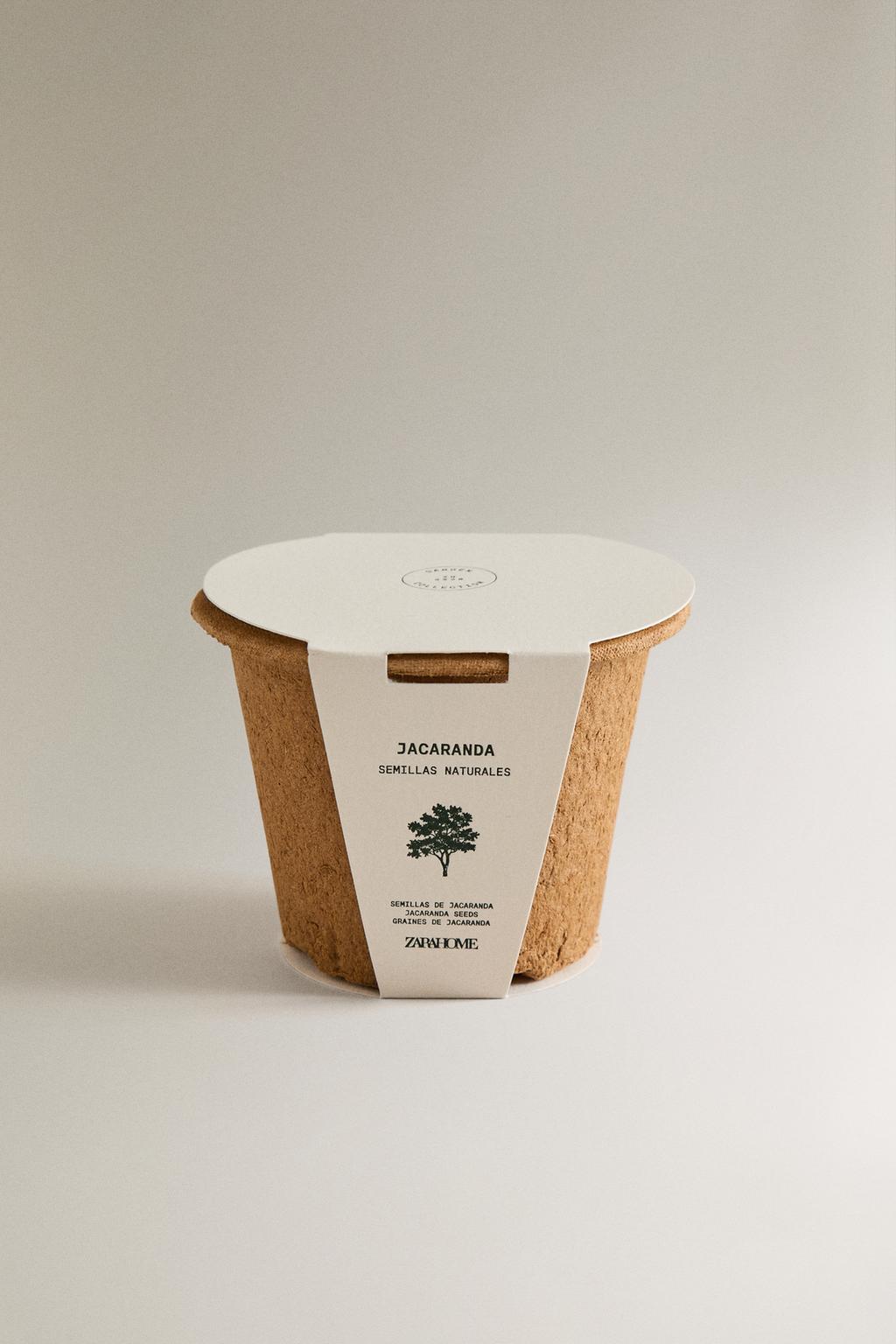 Набор для посадки семян жакаранды