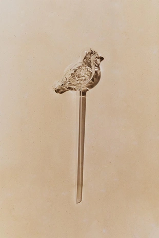 Самоопахивающийся садовый шар в виде птицы- Заказать в России