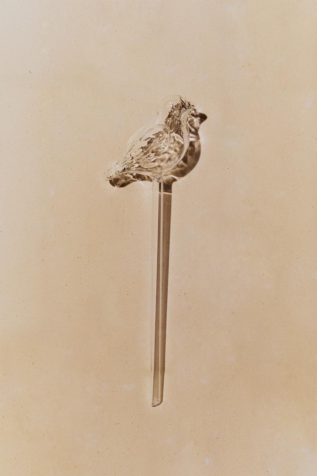 Самоопахивающийся садовый шар в виде птицы