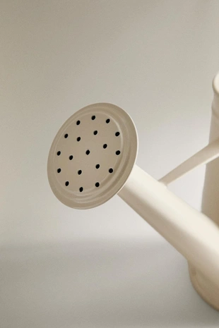 Стальная садовая лейка- Заказать в России