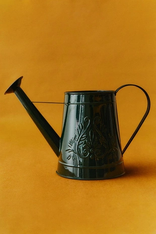 Стальная садовая лейка- Заказать в России