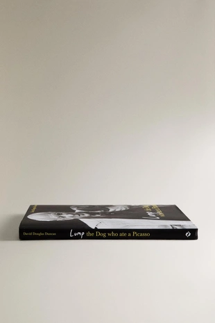 Книга lump: пес, который съел пикассо (английский)- Заказать в России