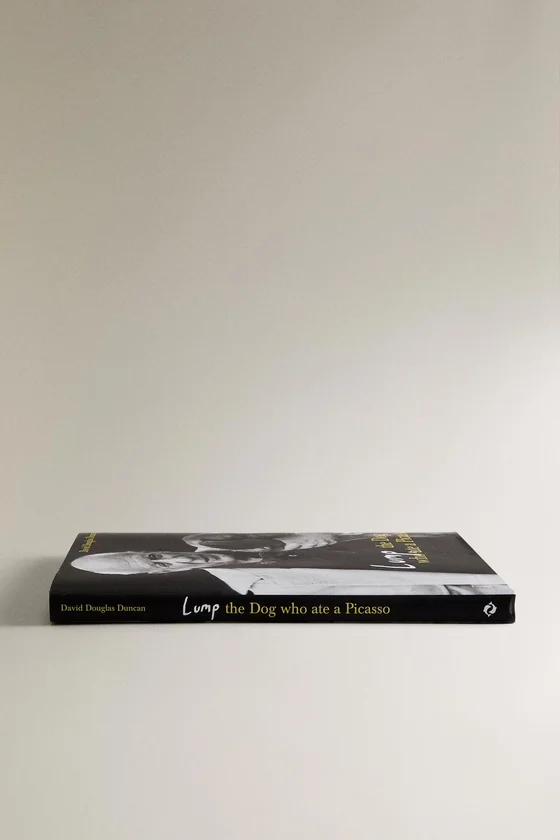 Книга lump: пес, который съел пикассо (английский)