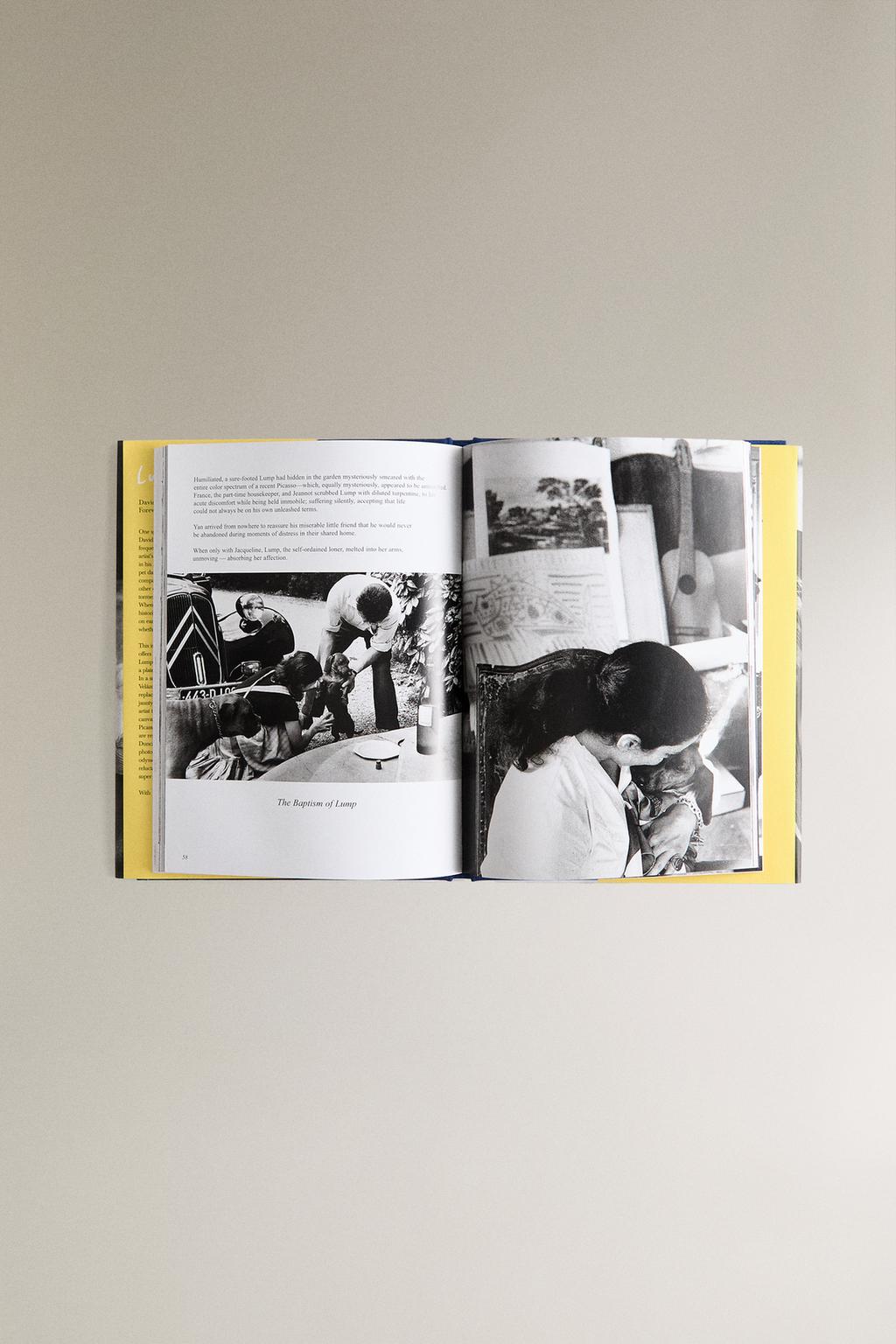 Книга lump: пес, который съел пикассо (английский)