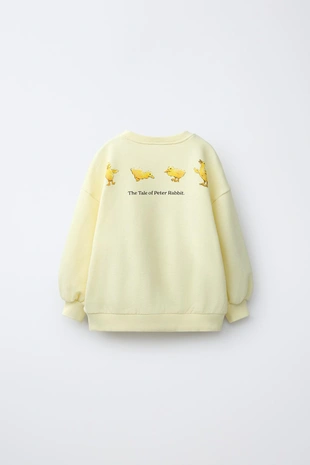 Толстовка Peter Rabbit ™- Заказать в России