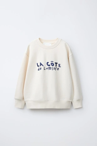 Толстовка с вышитой надписью- Заказать в России