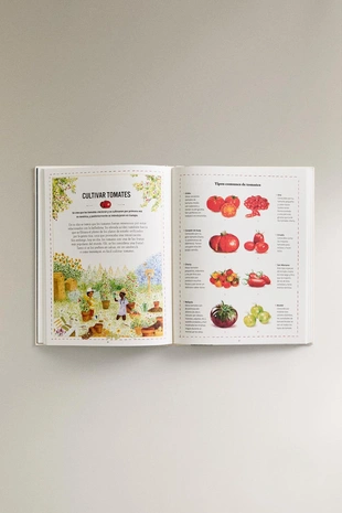 Книга для детей «забытые навыки» (на испанском)- Заказать в России