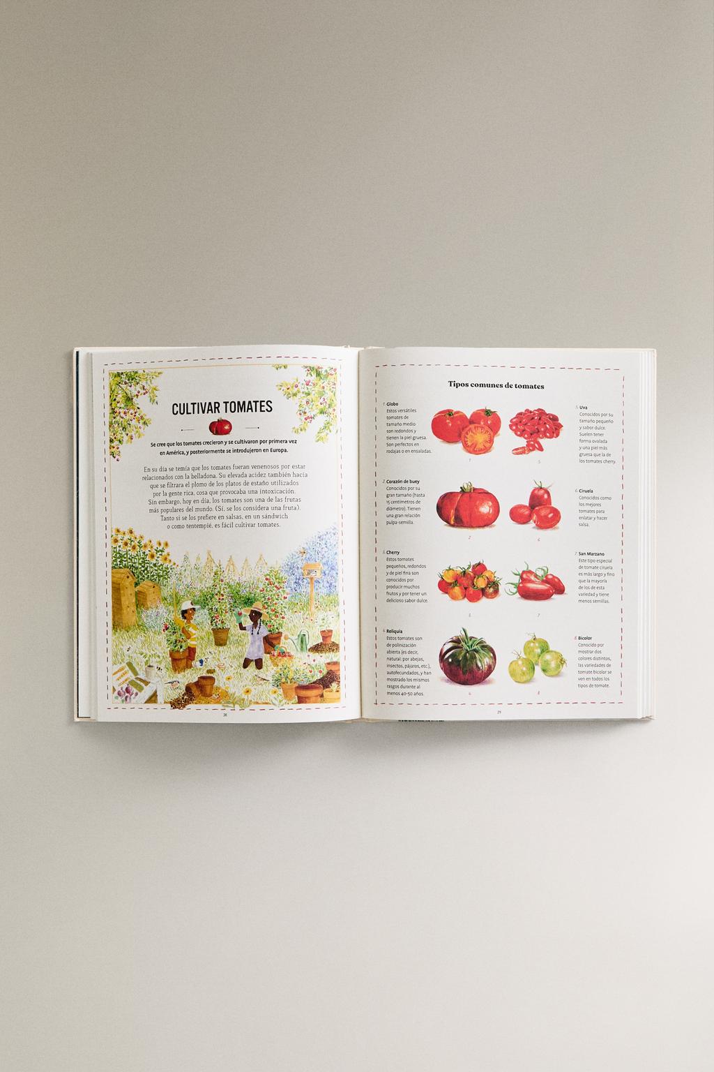 Книга для детей «забытые навыки» (на испанском)