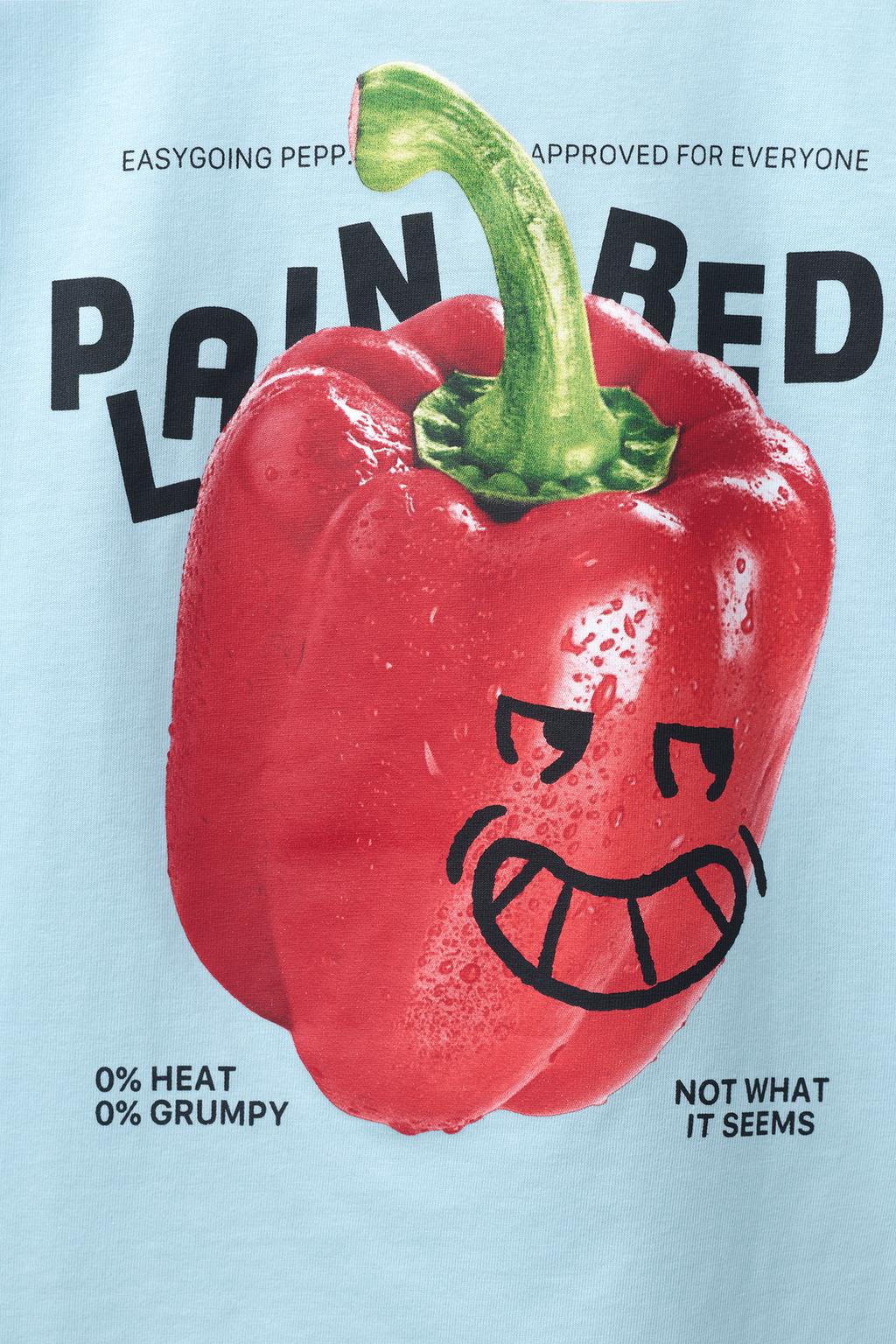 ФУТБОЛКА С ПРИНТОМ