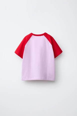 Однотонная футболка реглан- Заказать в России