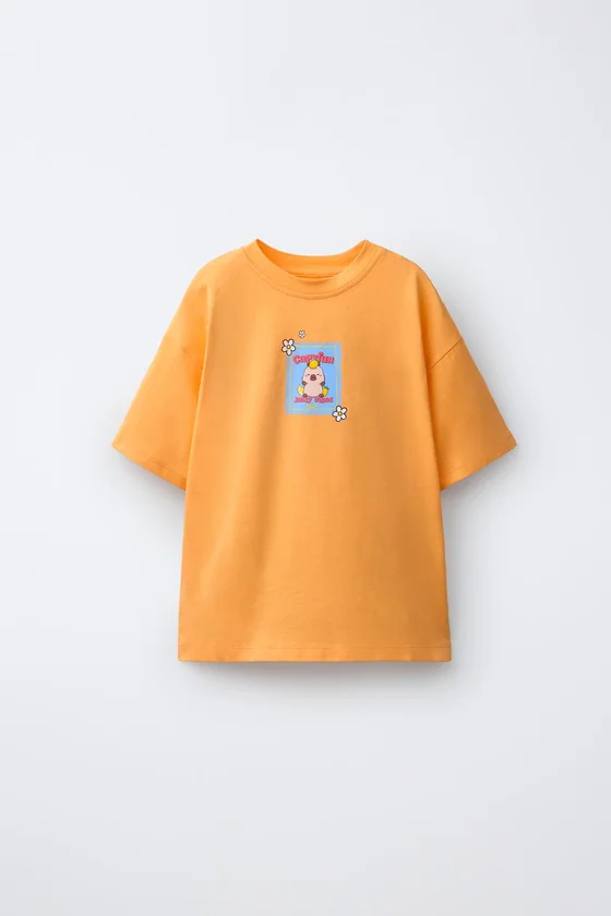 ФУТБОЛКА «КАПИБАРА» CAPYFUN ©