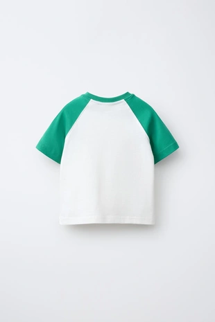 Футболка реглан- Заказать в России