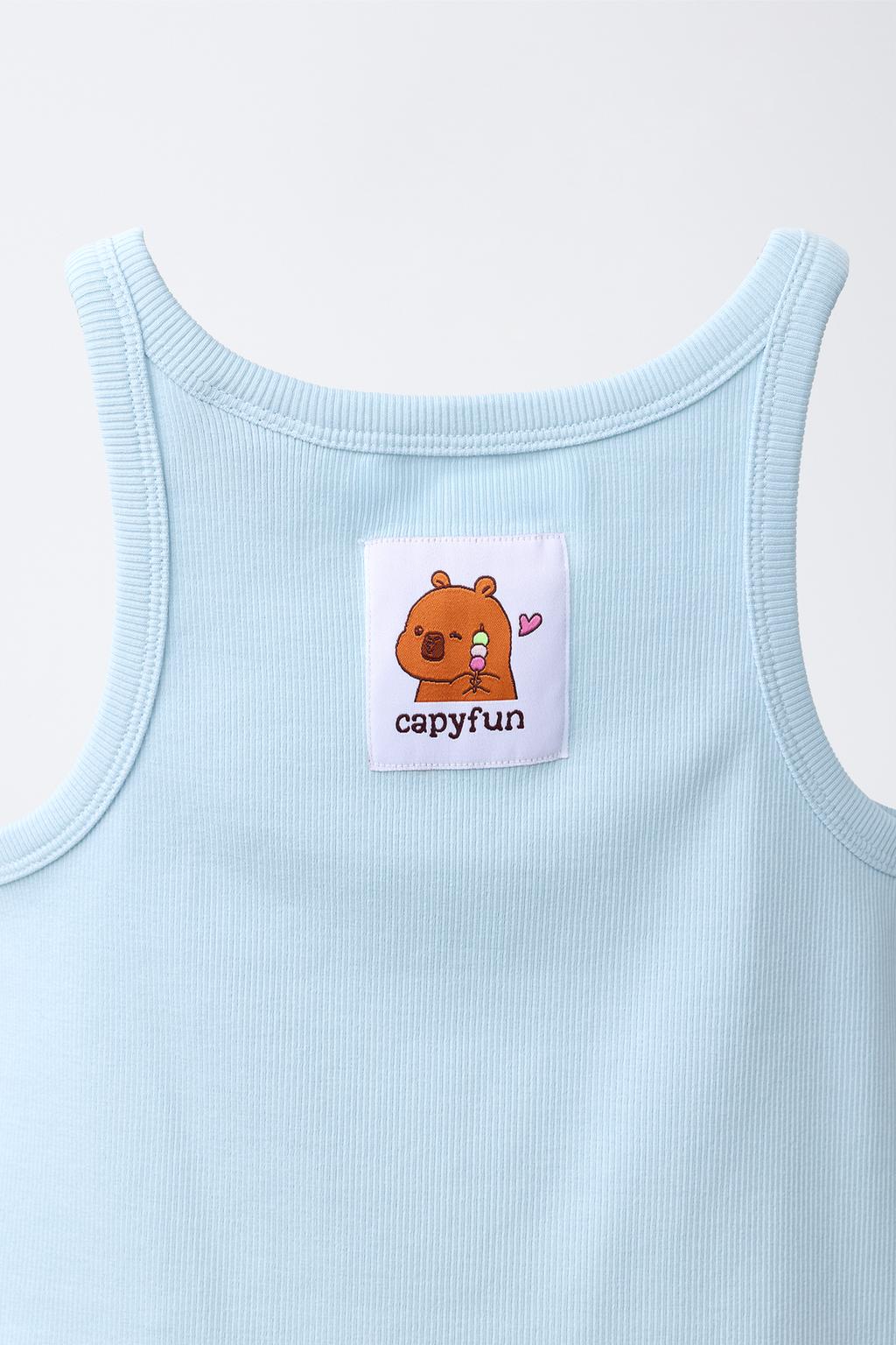 ТОП В РУБЧИК CAPIBARA CAPYFUN ©