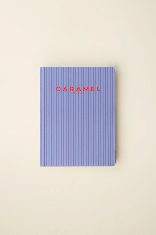 Полосатый блокнот из специальной коллекции caramel london x zara- Заказать в России