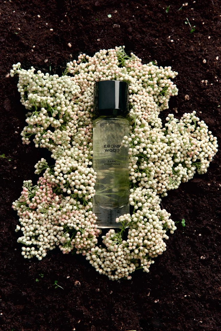 Парфюм ebony wood edp 30 мл / 1.01 фл. унц.