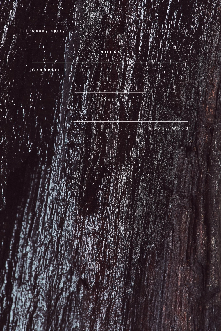 Духи ebony wood 30 мл