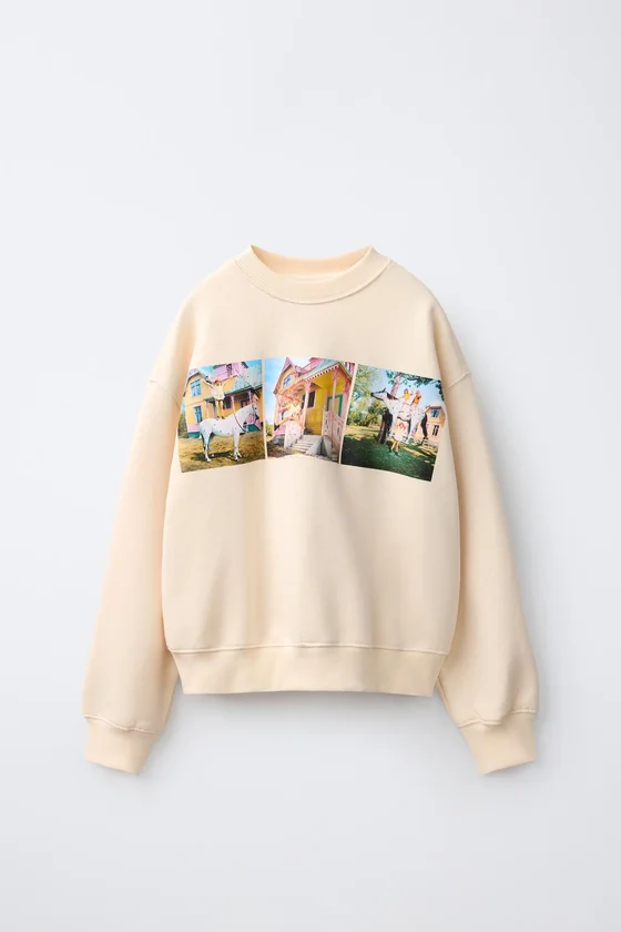 ТОЛСТОВКА PIPPI CALZASLARGAS © ASTRID LINDGREN COMPANY