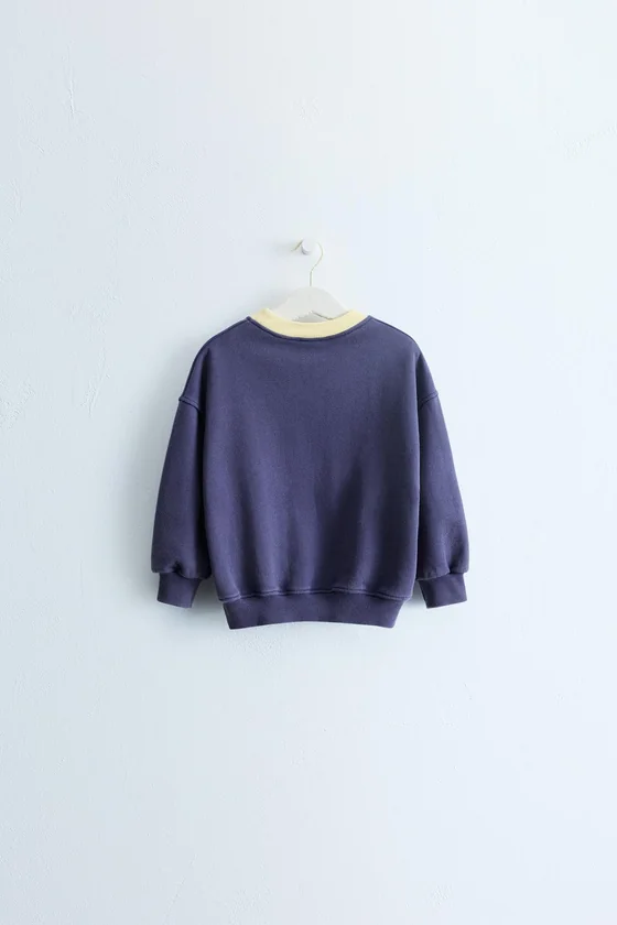 ZARA TIMELESS — ТОЛСТОВКА С ВЫШИВКОЙ