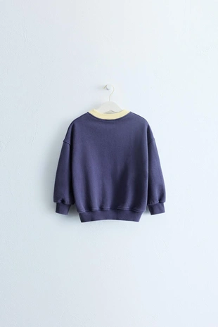 Zara Timeless — толстовка с вышивкой