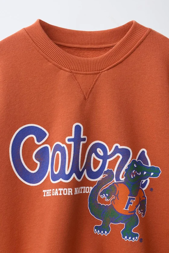 ТОЛСТОВКА С ПРИНТОМ UF UNIVERSITY OF FLORIDA PARK FIELDS®