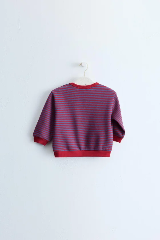 ZARA TIMELESS: ТОЛСТОВКА В ПОЛОСКУ