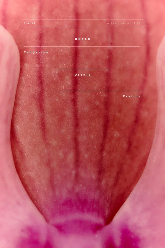 Парфюмерная вода pink flambé 90 мл
