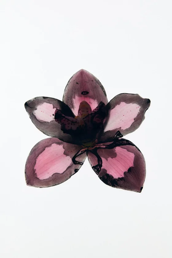 Zara violet blossom & gardenia edp 2x90 мл