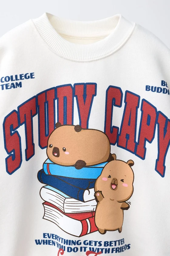 ТОЛСТОВКА CAPIBARA CAPYFUN ©