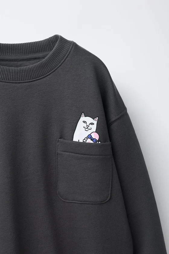 ТОЛСТОВКА С ПРИНТОМ-ЛОГОТИПОМ RIPNDIP © X ZARA KIDS