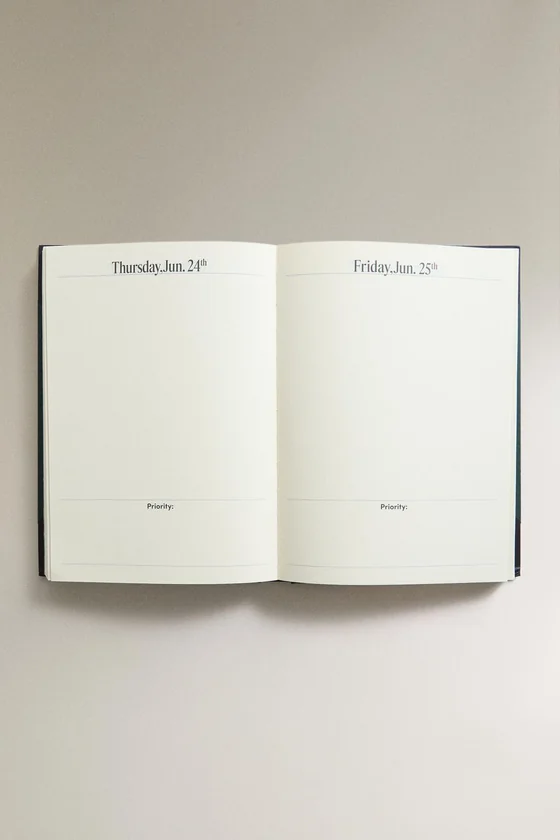 Ежедневник daily view diary