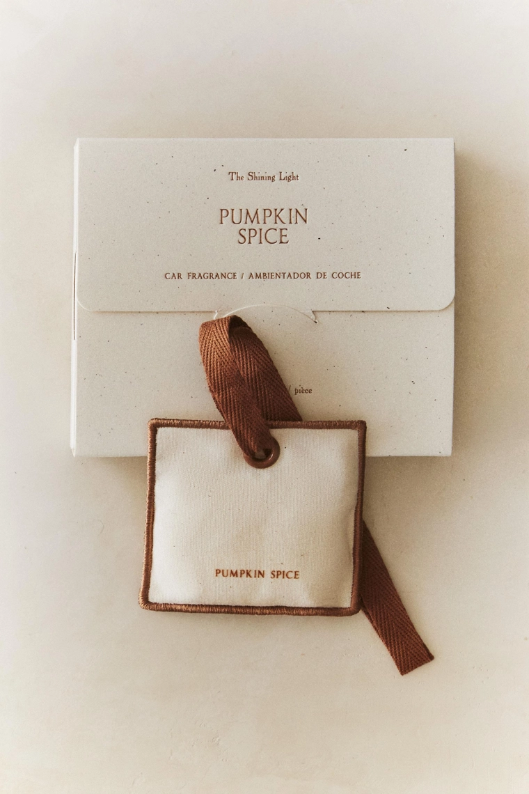 Ароматизатор для автомобиля pumpkin spice