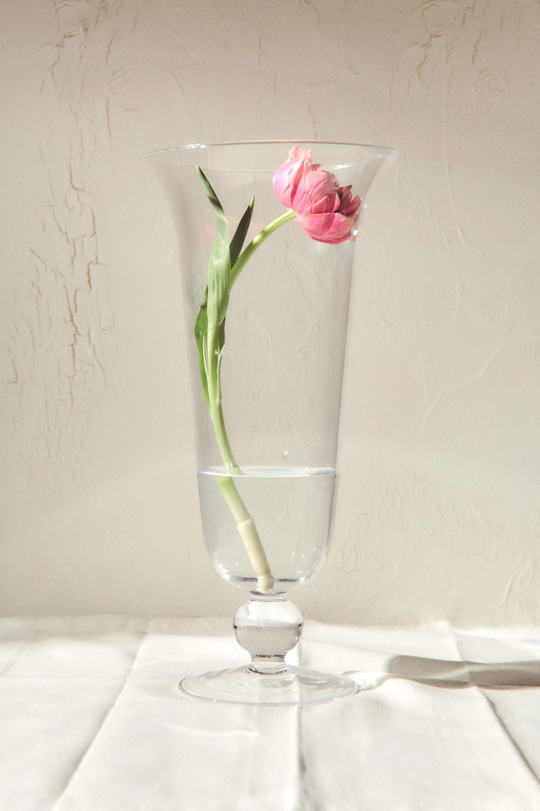 Парфюмерная вода rose petal drops, 100 мл