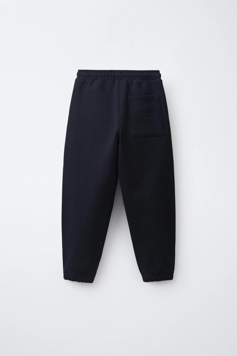 Джоггеры с вышитым текстом 0fr. paris x zara