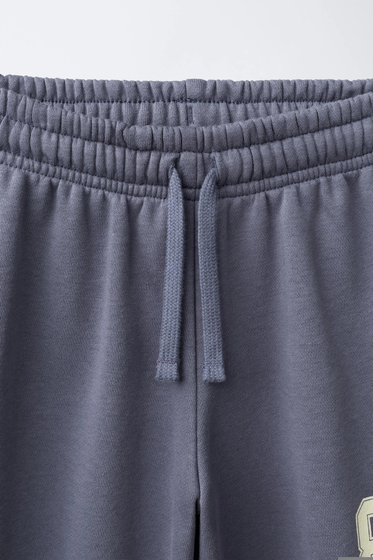 Спортивные брюки с начесом varsity