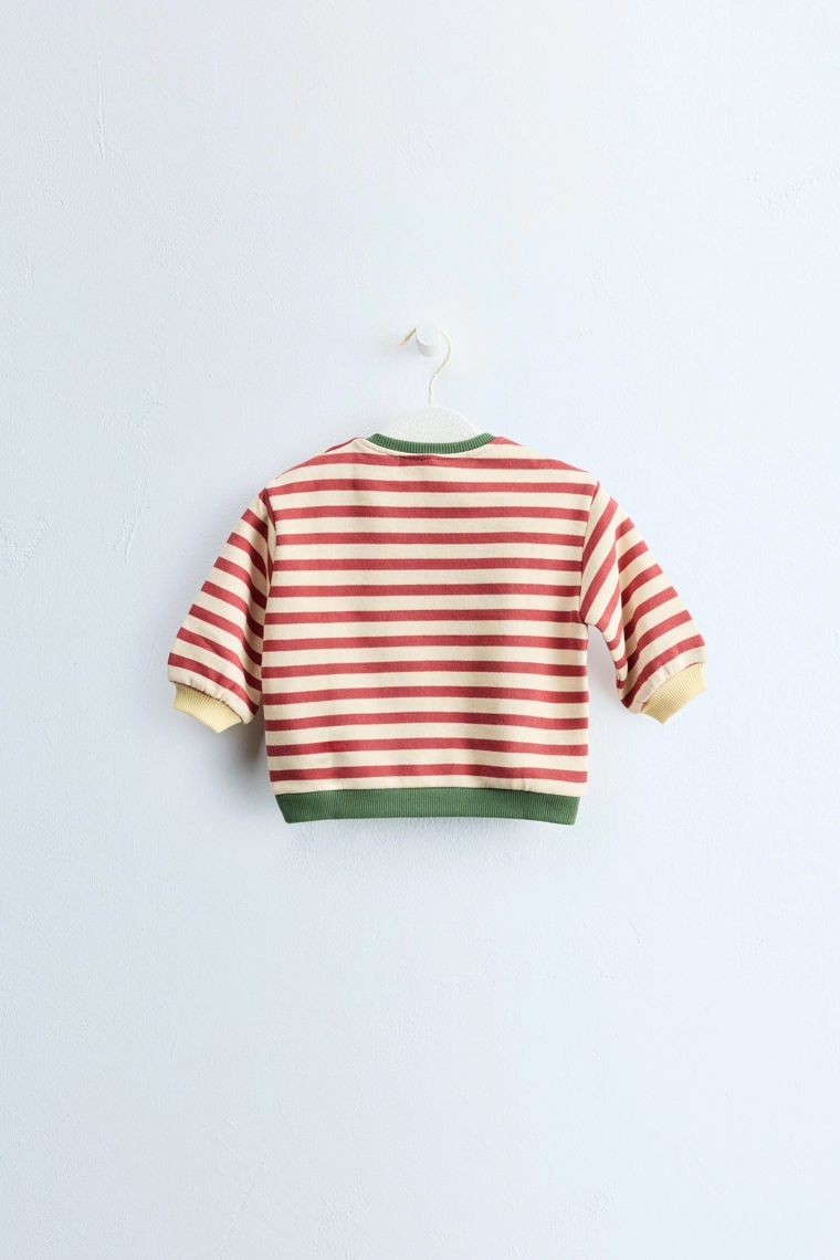 Zara timeless - хлопковый свитшот в полоску