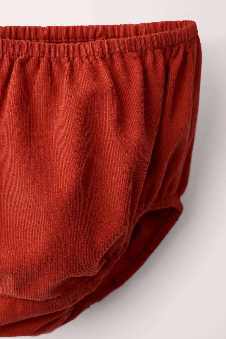 Платье и трусы из игольчатого вельвета caramel london x zara