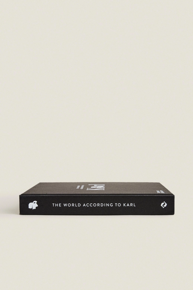 Книга «мир согласно карлу»