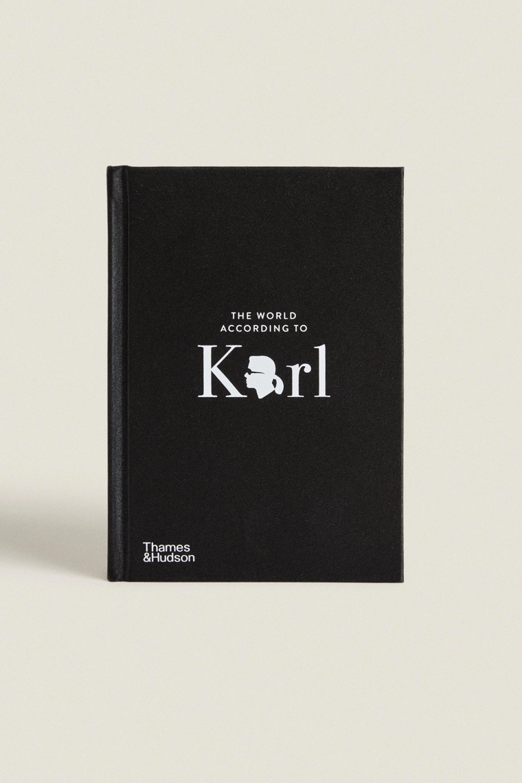 Книга «мир согласно карлу»