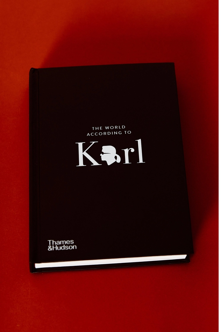 Книга «мир согласно карлу»