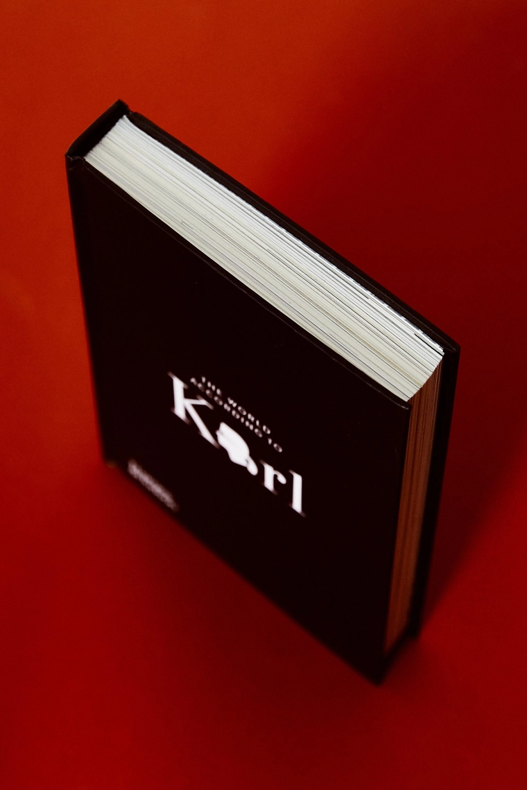 Книга «мир согласно карлу»