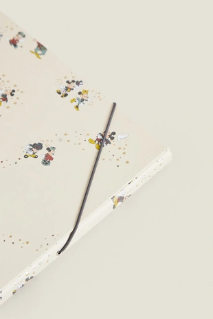 Детские папки с микки маусом © DISNEY (упаковка из 2 штук)- Заказать в России