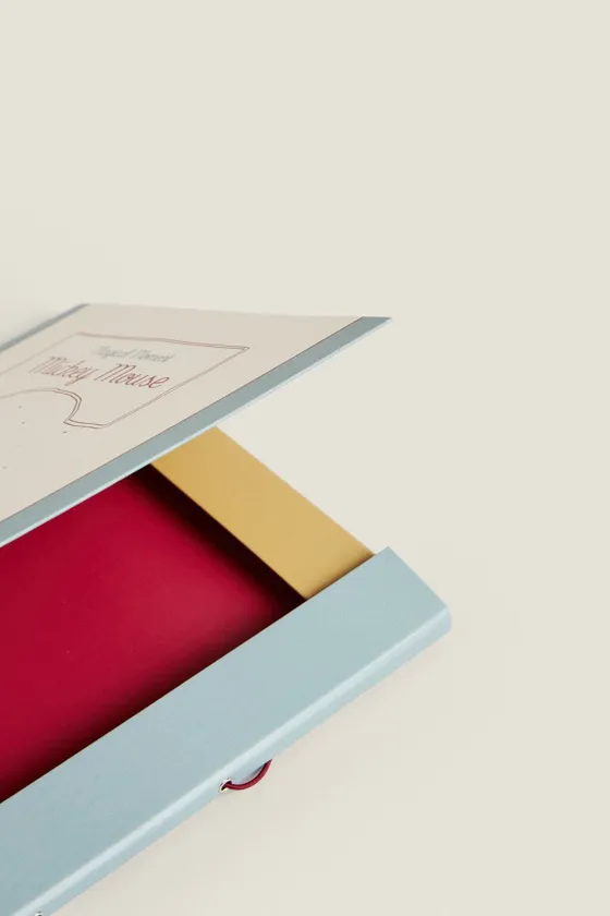 ДЕТСКИЕ ПАПКИ С МИККИ МАУСОМ © DISNEY (УПАКОВКА ИЗ 2 ШТУК)