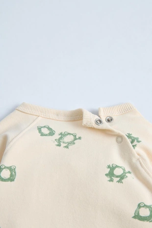 Комплект из толстовки и брюк с принтом «лягушки»- Заказать в России