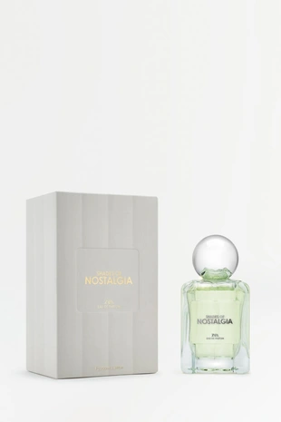 Парфюмированная вода ZARA SHADES OF NOSTALGIA EDP, 100 мл- Заказать в России