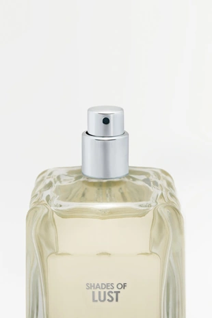 Парфюмированная вода ZARA SHADES OF LUST EDP, 100 мл- Заказать в России