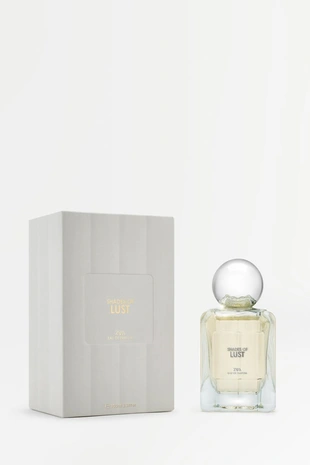 Парфюмированная вода ZARA SHADES OF LUST EDP, 100 мл- Заказать в России