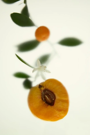 Парфюмированная вода ZARA SHADES OF LUST EDP, 100 мл- Заказать в России